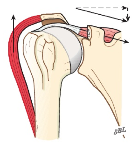 1758511203139761.png image.png