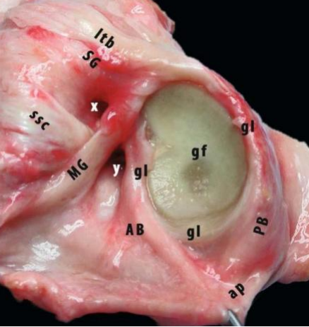 1760521289737570.png 圖片5.png