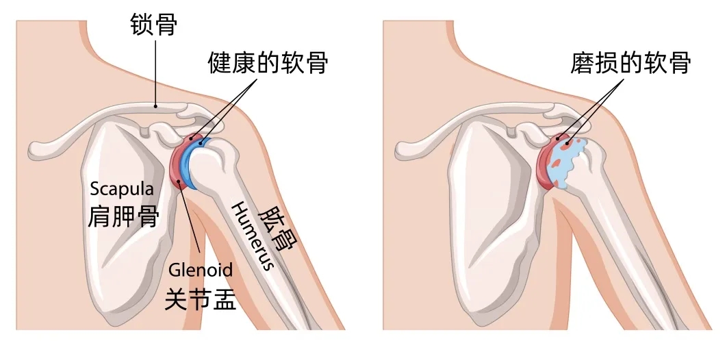 1761881067540686.jpg 22d5d1914ac727d17a1c7ce362421640.jpg