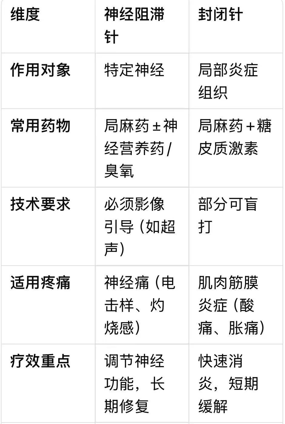 1763259622838796.jpg 神經(jīng)組織.jpg