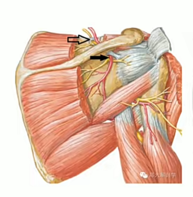 1764926000743962.png 圖片1.png