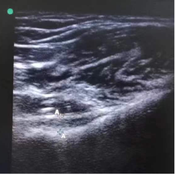 1765523855920330.png 圖片1.png